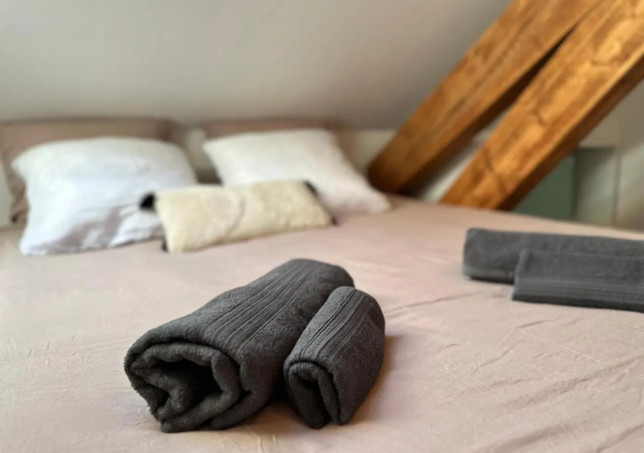 Duplex Loft - Central & Home Cinema Annecy France