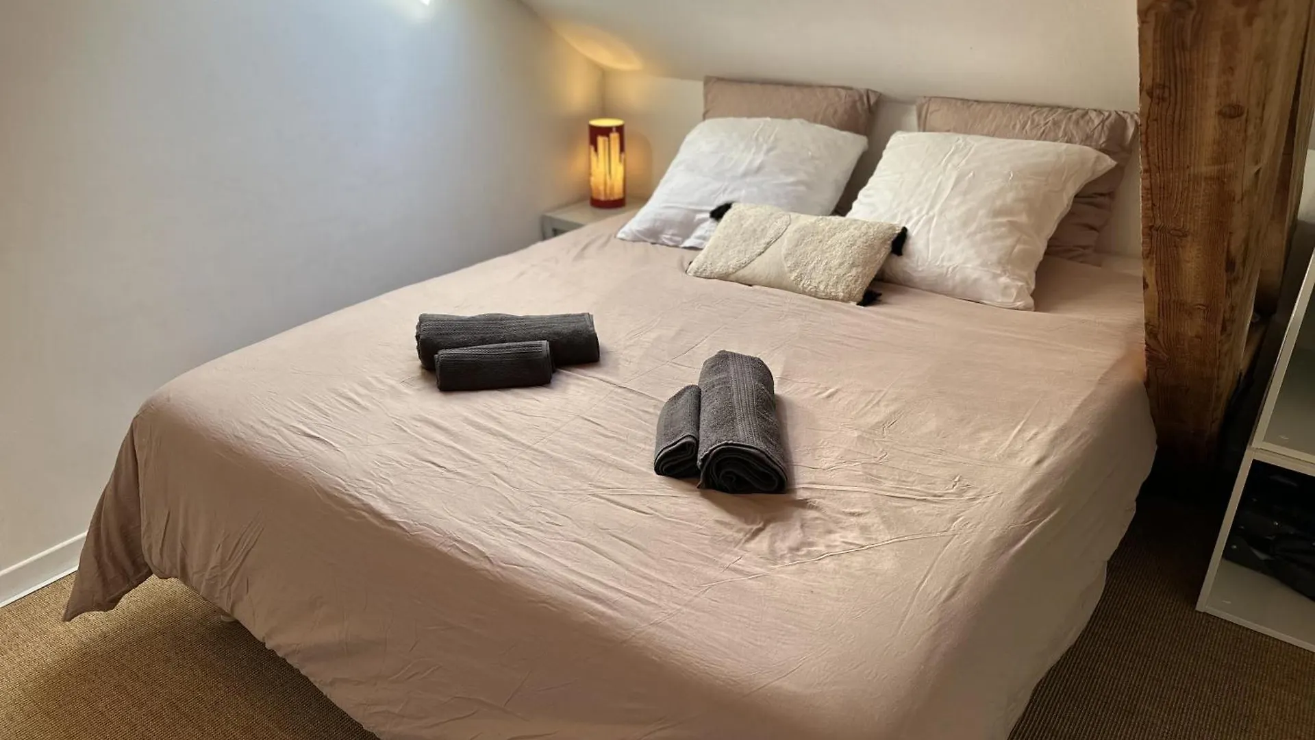 Duplex Loft - Central & Home Cinema Annecy France